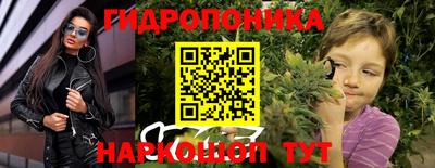 apvp Краснодар