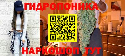 apvp Краснодар