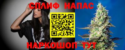 сатива Краснознаменск