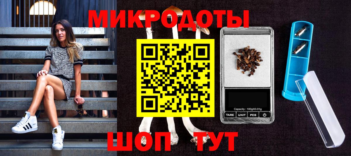 Псилоцибиновые грибы прущие грибы Ялта
