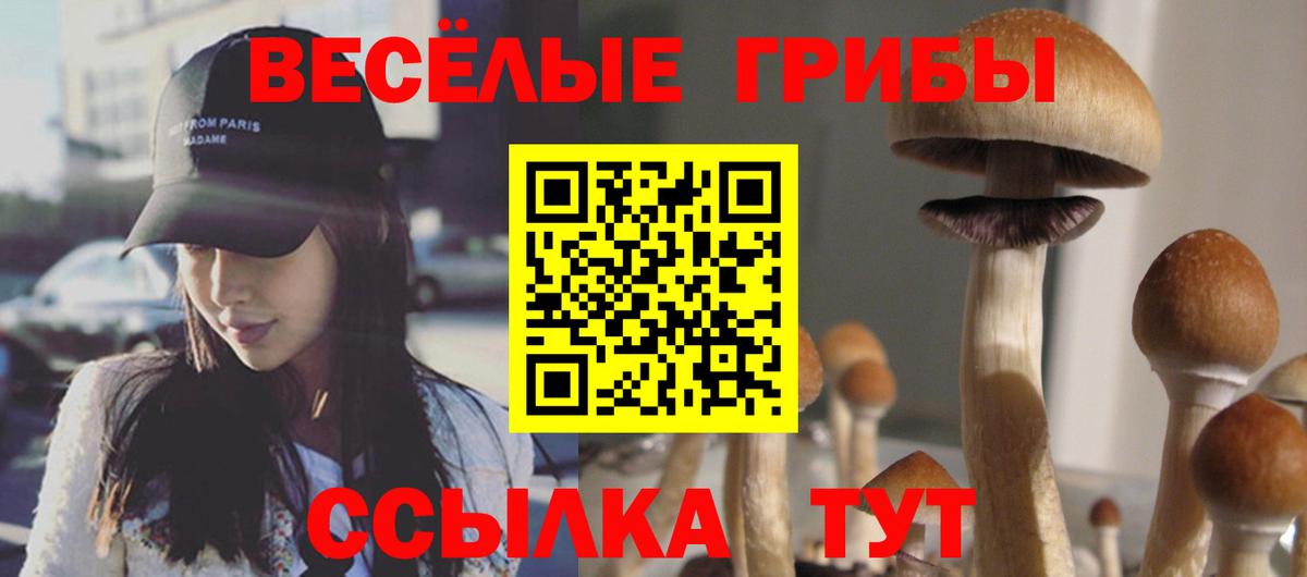 Галлюциногенные грибы GOLDEN TEACHER  Вход с VPN  Псилоцибиновые грибы Psilocybine cubensis  Ялта 